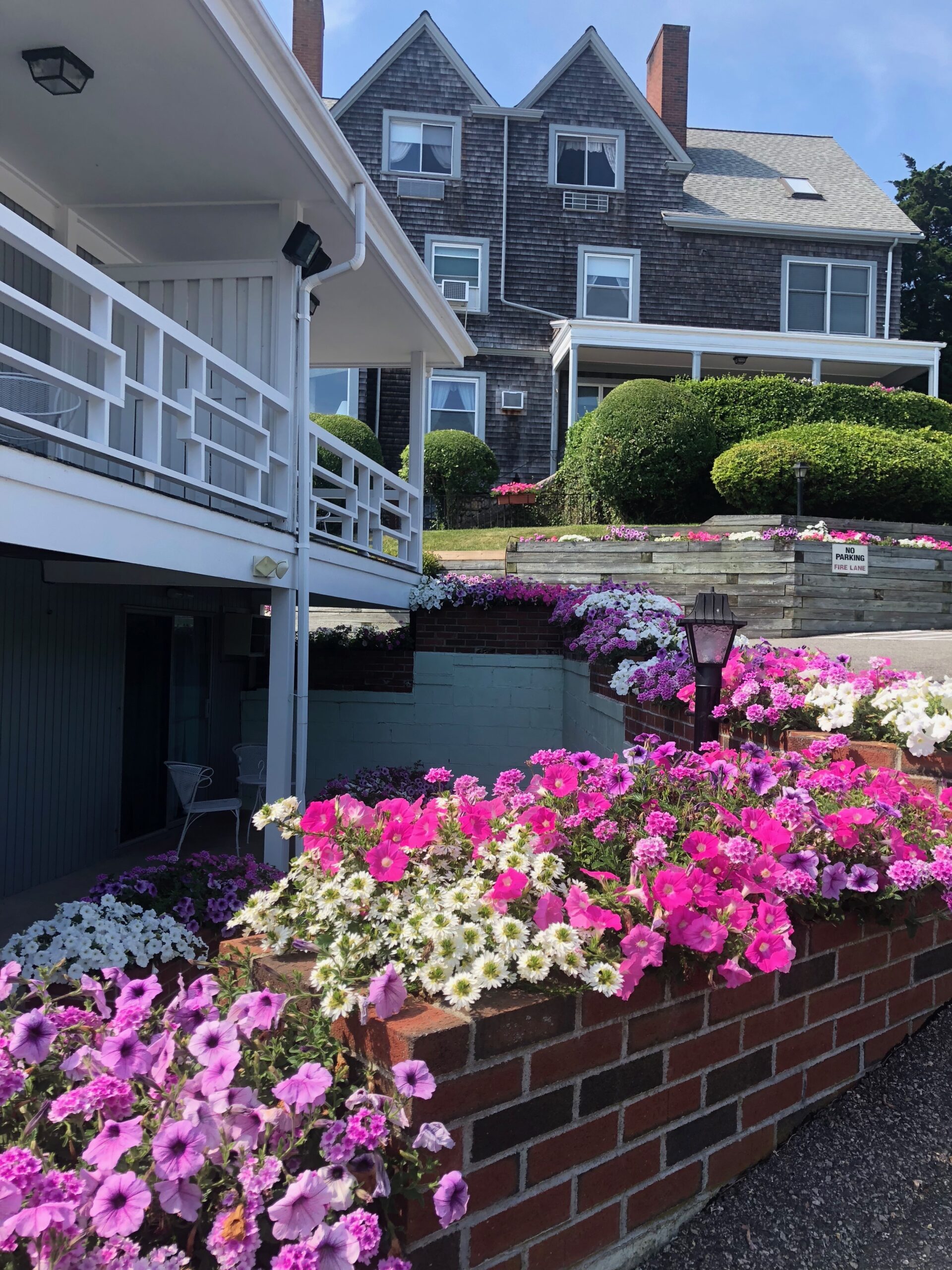 Flowers at Sands of Time Woods Hole