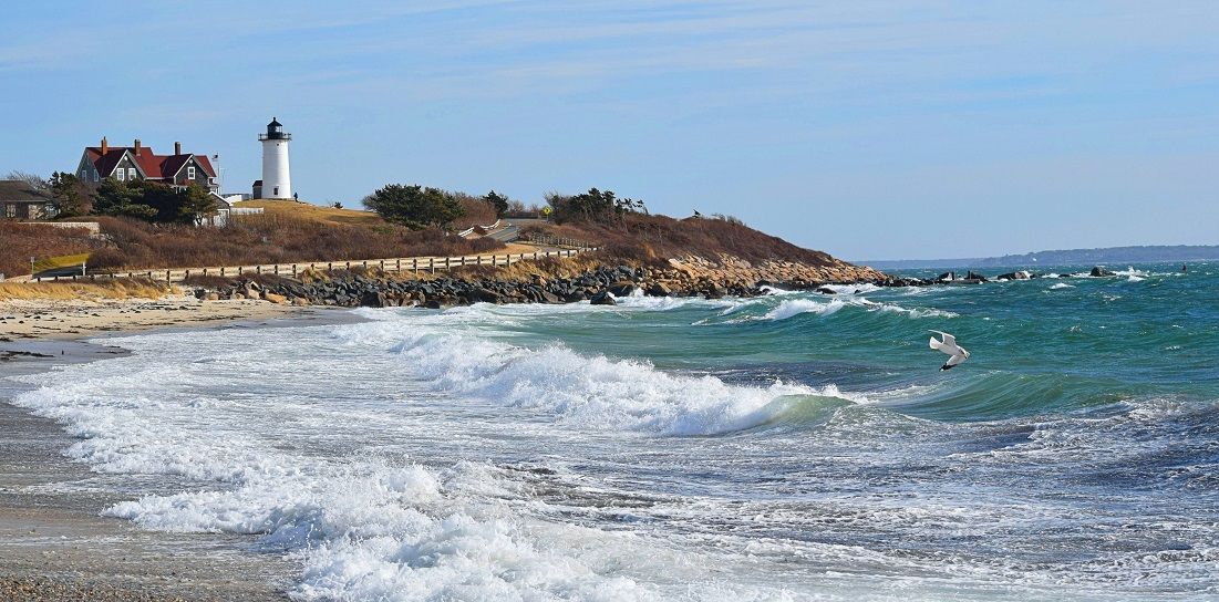 Your Complete Guide to Woods Hole Beaches